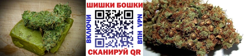 Canna-Cookies марихуана  купить наркотики сайты  Звенигород 