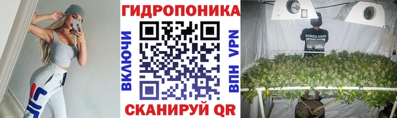 Каннабис индика Звенигород